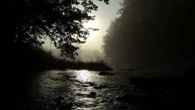Morning on the Nine Mile by Jason Trask