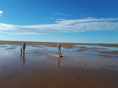 St. Peter's Harbour's skimmin' good times! by Stephanie Campbell
