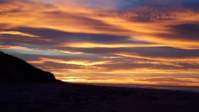 peace by Stephanie Campbell