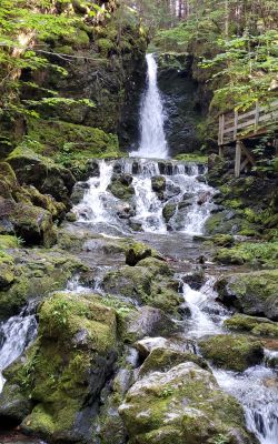 Into the Mystic by Jennifer gallant 