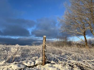 On The Corner by Twila Young
