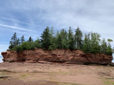 Standing Strong by Kimberley Reid