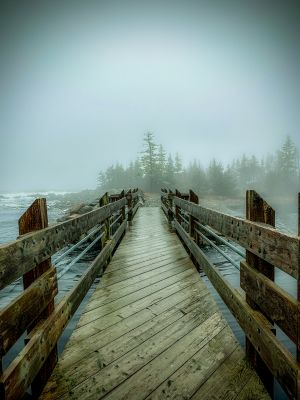Out of the Mist by Karen Andjelic