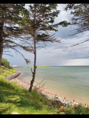 Serenity by Ginny Arsenault 