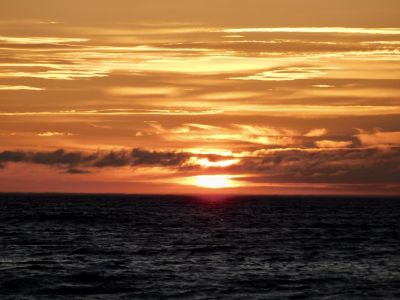 Beach Buddy  by Stephanie Campbell
