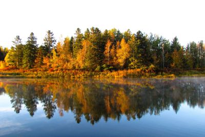 Fall Reflection by Melanie Allain
