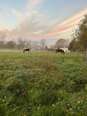 Natural Lighting by Janice Sutherland 