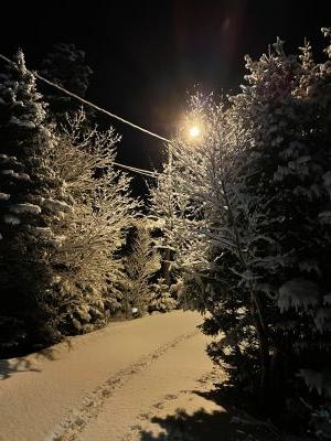 Snowy morning  by Rachael Mosley