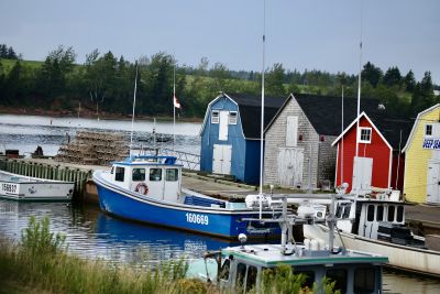 French Village by Traci Cameron