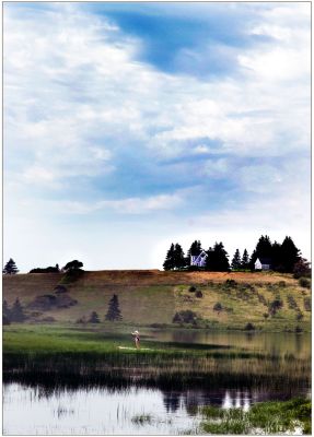 In the Pond by John Davie