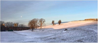 Winter Moon by John Davie