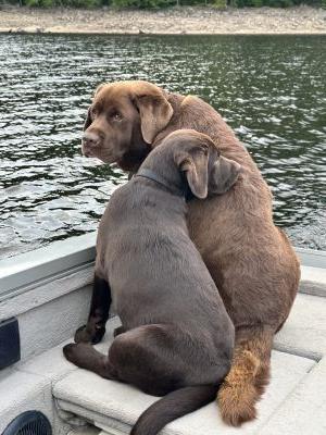 Kody and Kane by Annette Turner