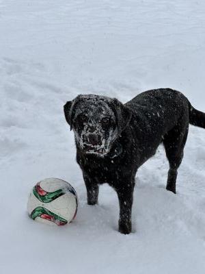 Kody by Annette Turner
