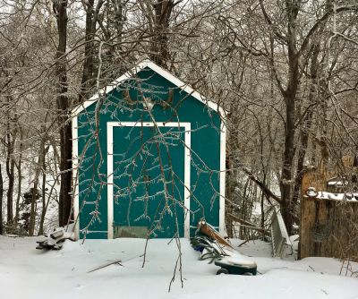 After the ice storm by Darlene Ellis