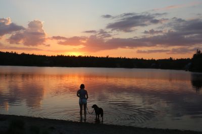 Summer Sunset by Tara Phillips