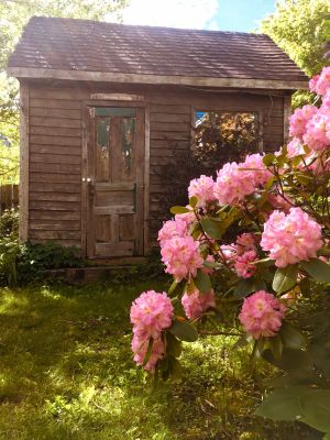 The old shed by Darlene Ellis