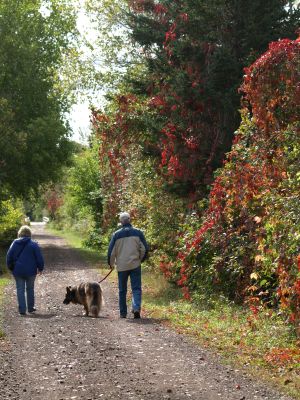 going for a walk by Sharon Skipper