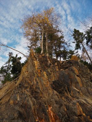 The Edge by Tara Phillips