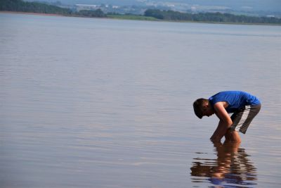 Curiosity in the Tide by Tara Phillips