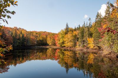 Fall reflections by Dan MacKinnon