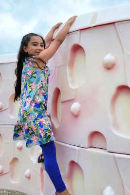 Climbing High by Melanie Allain