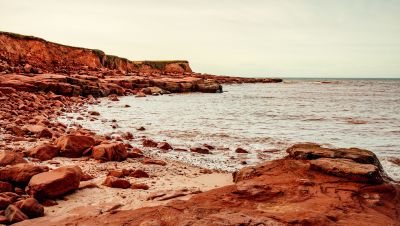 Clear Springs by Angela Vezina