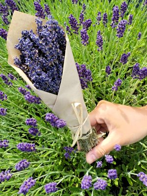 Daughter's Gentle Hand by Melanie Allain