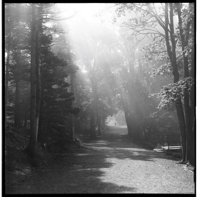Point Pleasant Park by John Davie