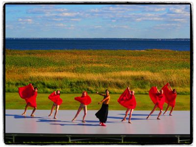 Ballet by the Ocean by Harry Gee Wong