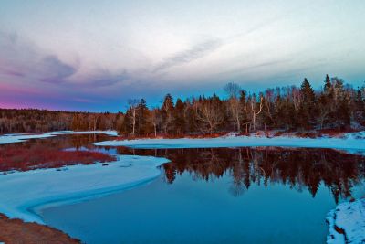 Trout Lake by Shirley Stewart